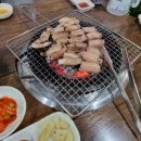부산산꼼장어 이미지