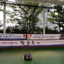 동일회관 Daum카페