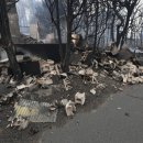 삼화양돈 이미지