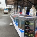 바다이야기(2호점) 이미지