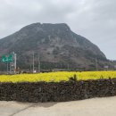 산방산 머물다 이미지