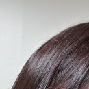 와이엔디.에프(Y&D.F) | 생일이라 행복한 여성의 주절주절