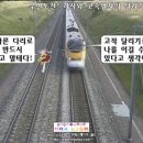 BestofBest 이미지