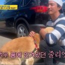 다니엘농장 이미지