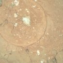 화성반점 이미지