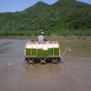 삼계초등학교 이미지