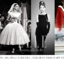 햅번 - 창원시 마산합포구 | 햅번