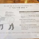 시드니램1901 이미지