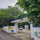 제주도 소규모 게스트하우스 | 제주도 게스트하우스 추천 소규모 파티 느영나영