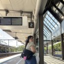 스맛시티 이미지