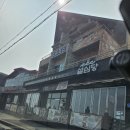 (주)제주설심당 | 제주도 당일치기(찍턴) 여행후기