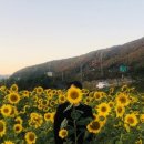 이팝인테리어 이미지