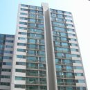 분당-133 이미지