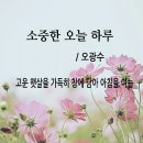 오늘;하루