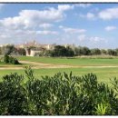 서울행정사 이미지