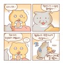 틴틴피자 이미지