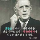매국노 하영 집안 발골하는 댓글 이미지