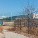 미음야구장 이미지