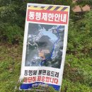 🌈 4세 (33개월)아이와 함께 한 경남 산청 별천지 캠핑장 당일치기 후기