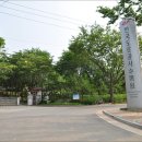 수목원주유소 Daum카페