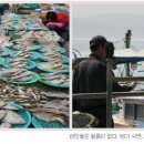 죽변수협회센타 이미지