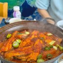 제주도10개월 쌍둥이 아기랑 3박4일 2일차 일정/ 아쿠아플라넷 유모차대여