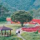 천령산 화장실 네이버블로그
