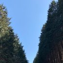 기쁨행정사사무소 이미지