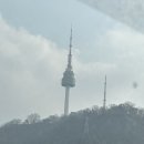 유성스타약국 | 서울역 차병원 시험관 신선 3차 난자채취 후기(2.11.)