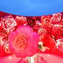 디자인로로