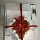 효석로 | 춘천 케이크 딸기케이크 맛집 그로우딥, 크리스마스 준비 끝!