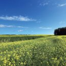 대평원목장 이미지