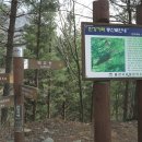 굼구