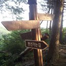 이씨네하우스 이미지
