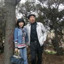 행주초등학교 이미지