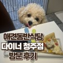 [공지] 청주 다이너 : 성안길 맛집, 데이트, 모임 장소로 제격인 애견동반식당