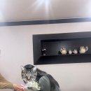 일식목장 이미지