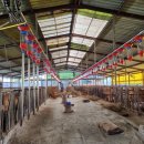 자동축산 이미지