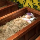 애견동화 이미지