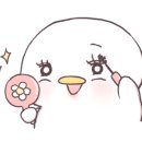 아벨리뜨