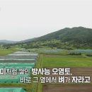소리식품