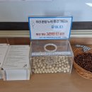 2027 세계청년대회 성공적 개최를 위해 묵주기도 봉헌 이미지