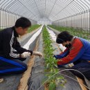 영래농장 이미지