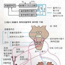 호흡(呼吸)과 명상(瞑想) 이미지