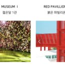 와이영랜드