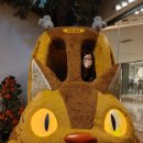 도토리몰 이미지