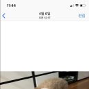 최재호 한방동물병원 이미지