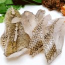 하도 고소해서 &#39;꼬시래기&#39; 이미지