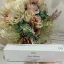 뷰티 퓨어(Beauty Pure) | 내 살냄새처럼 은은한 퓨어파이브(pure5) 쥬시 블룸 파우치 속 필수 데일리 향수 추천