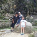 다은 카카오 검색결과